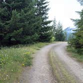 Review photo of Open Space on Forest Road 7320 by Carmen S., July 30, 2026