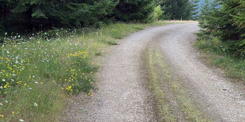 Camper submitted image from Open Space on Forest Road 7320