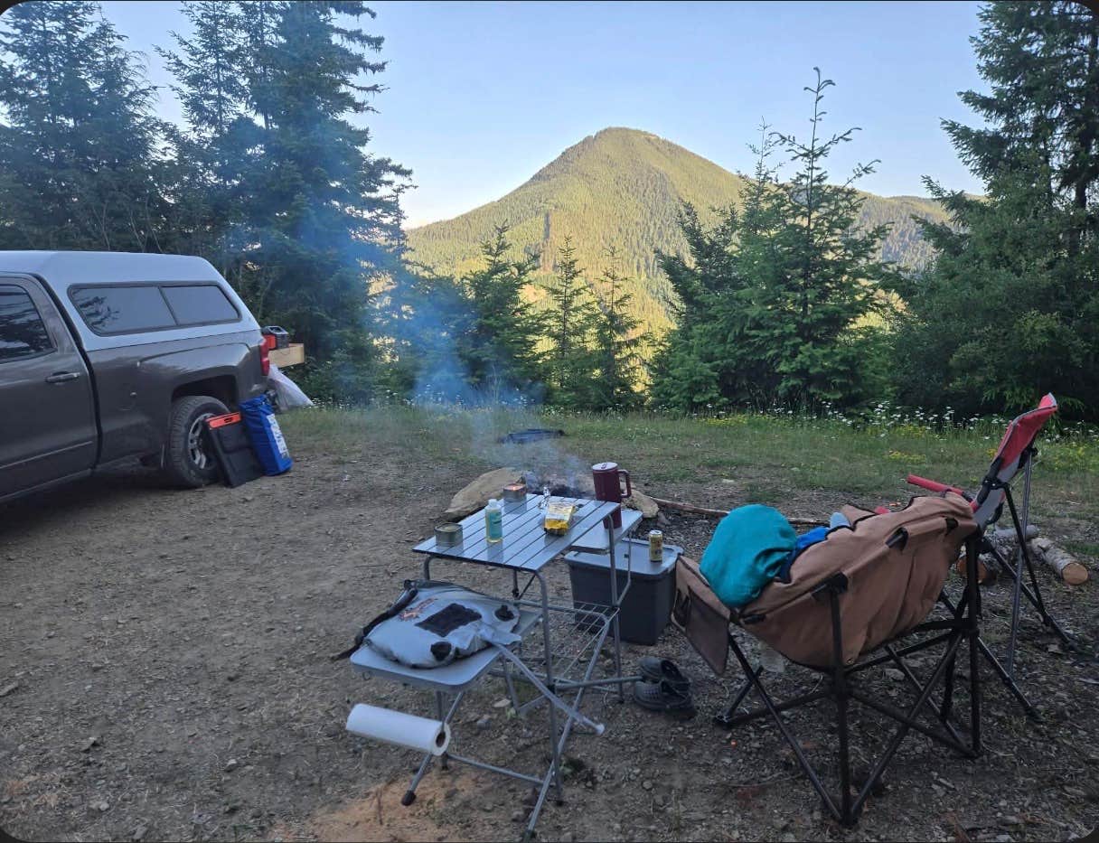 Camper-submitted photo at Open Space on Forest Road 7320 near Ravensdale, WA