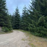 Review photo of Open Space on Forest Road 7320 by Carmen S., July 30, 2026
