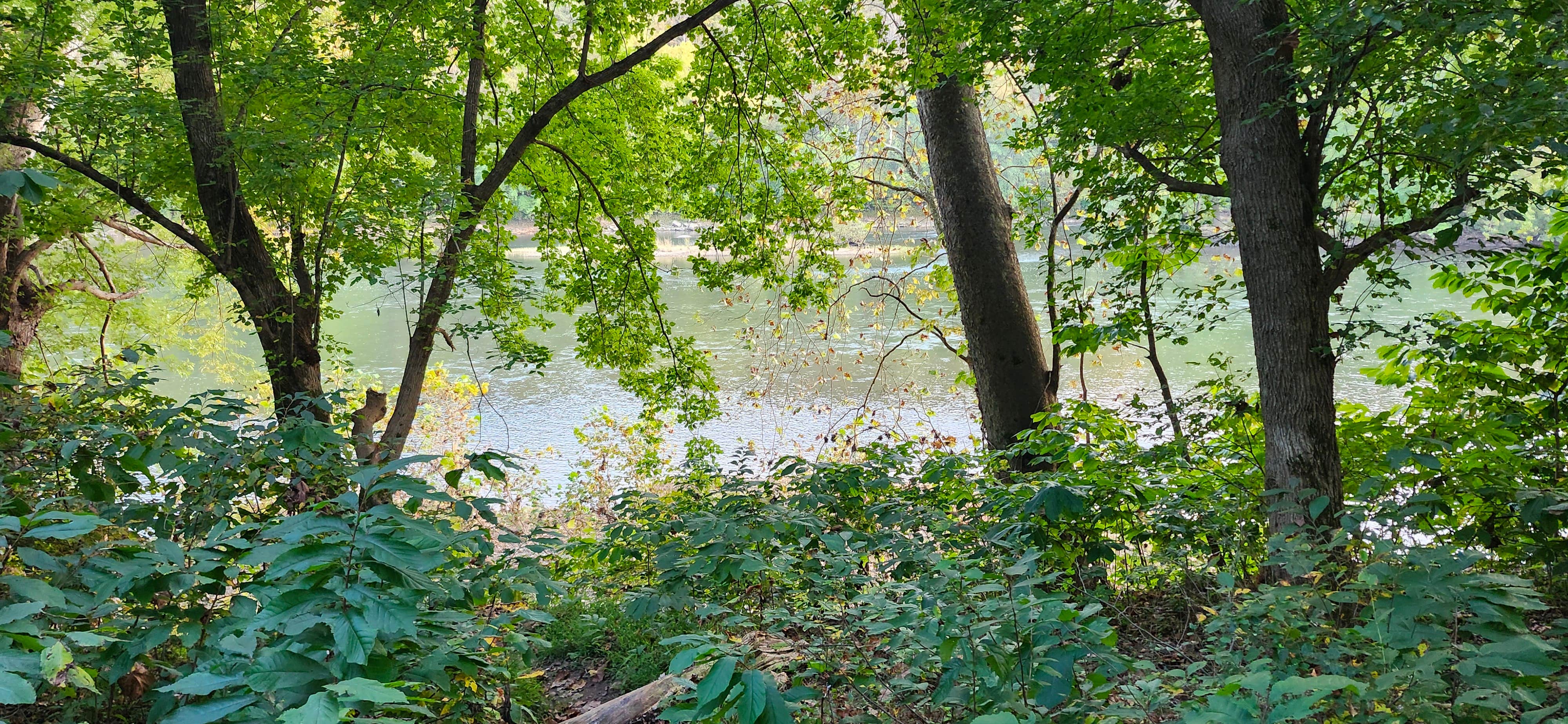 Camper-submitted photo at Opequon Junction Hiker-biker Overnight Campsite — Chesapeake and Ohio Canal National Historical Park near Smithsburg, MD