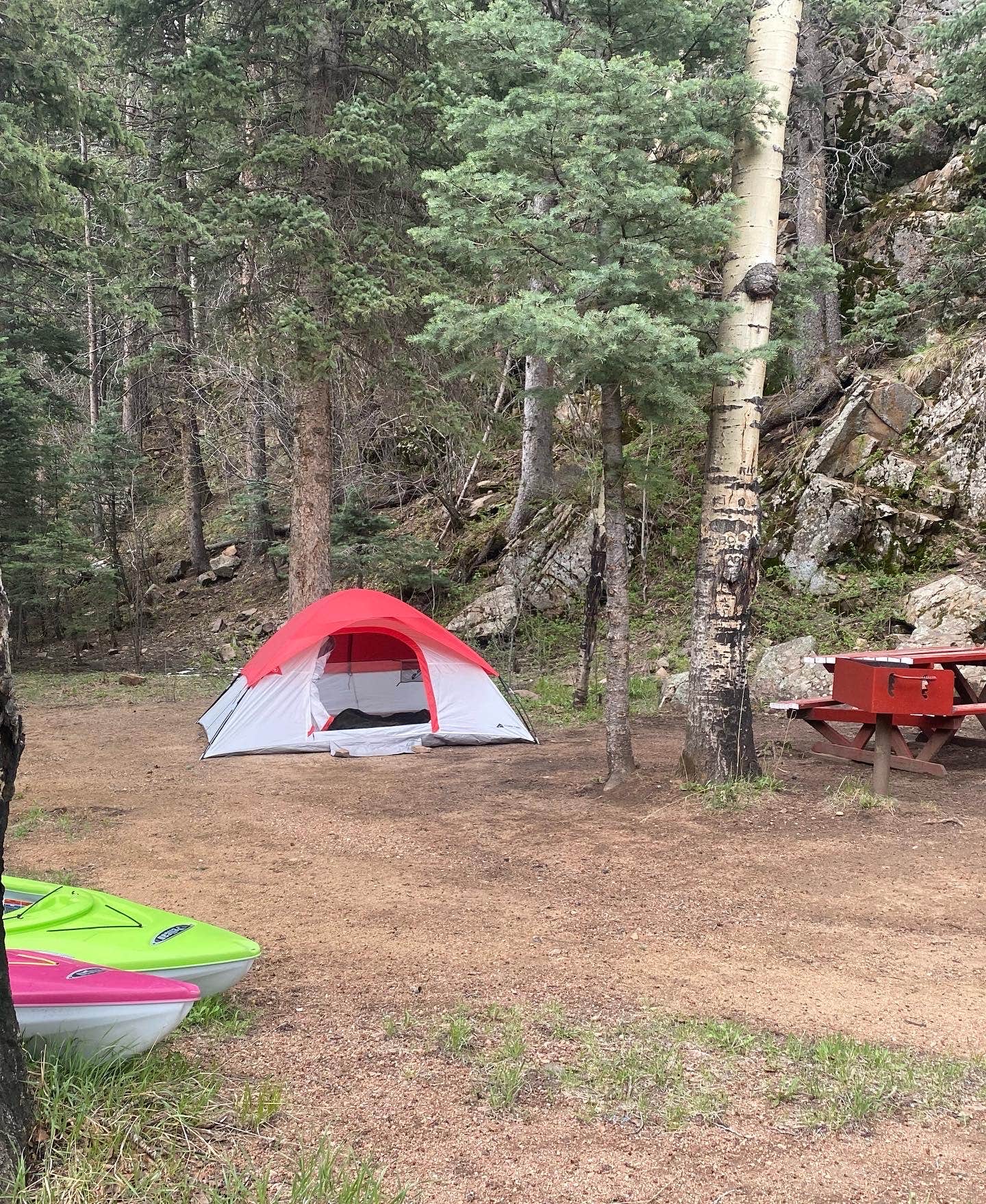 Camper submitted image from Ophir Creek Campground (Co) — Psicc - 3