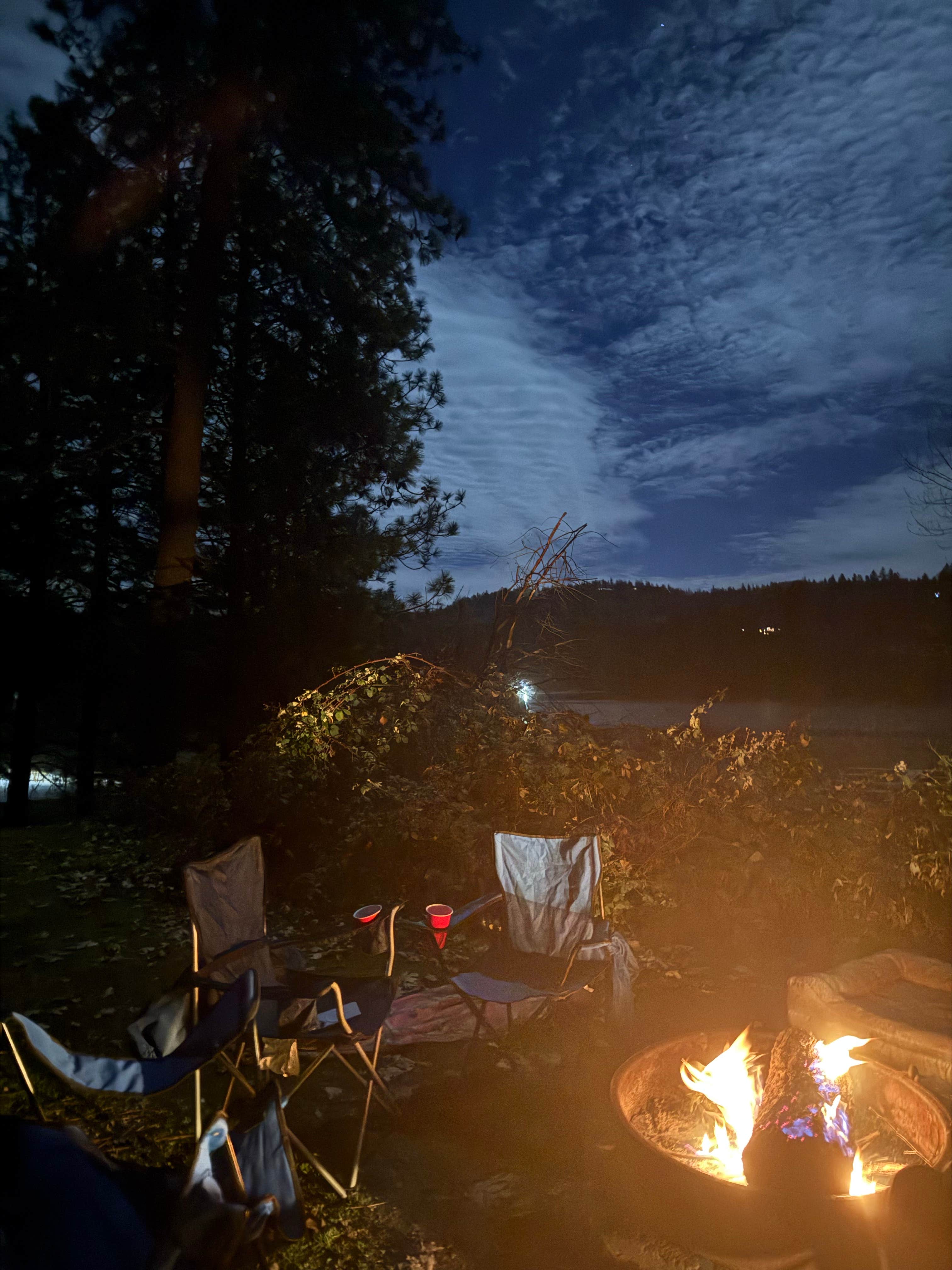 Alivia F.'s photo at Orchard Springs Campground near Forest Knolls, CA
