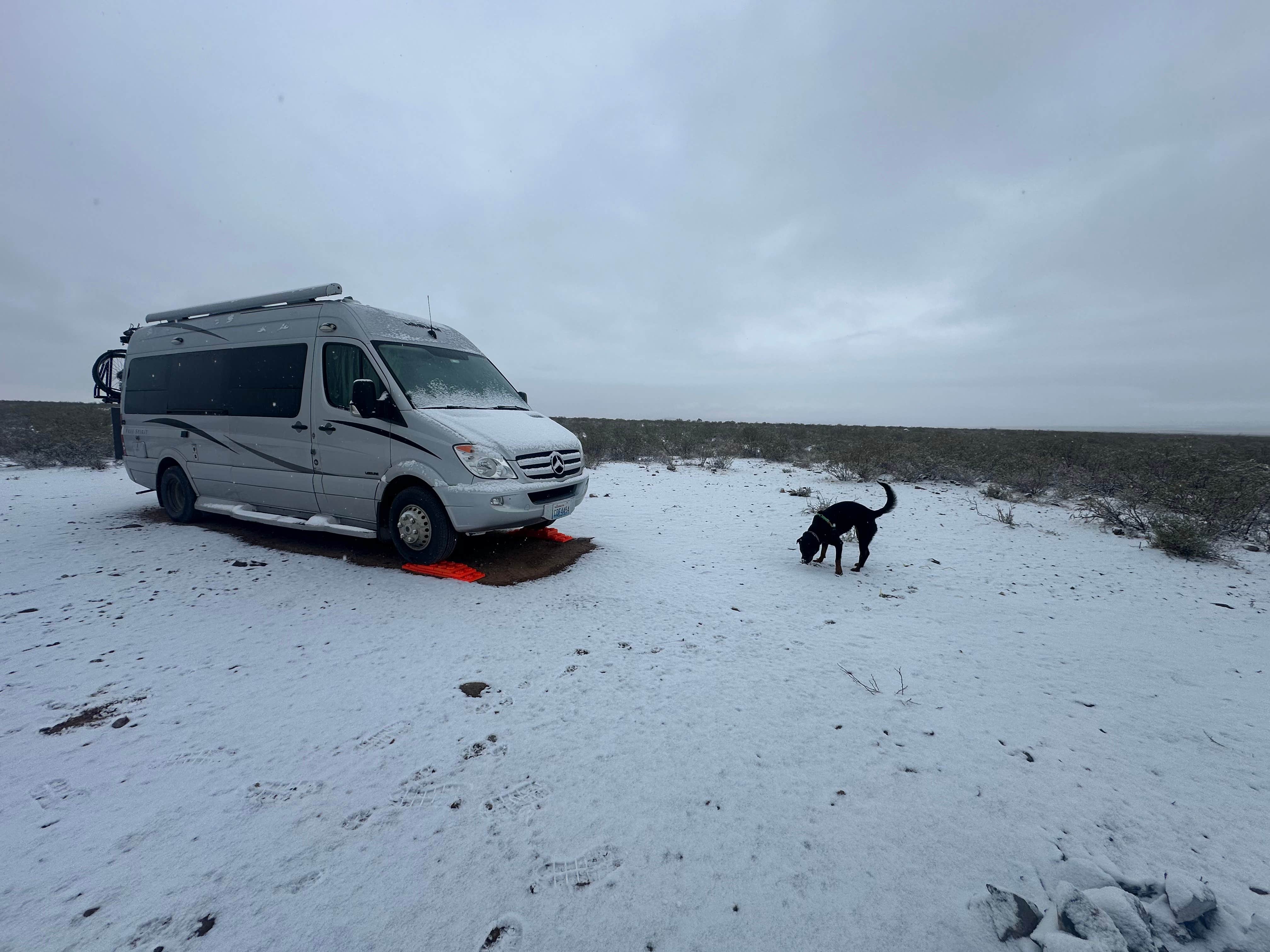 Teresa A.'s photo of camping with pets at Oregan Wilderness Dispersed near Mesilla, NM