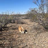 Review photo of Oregan Wilderness Dispersed by Jonathan E., June 29, 2025