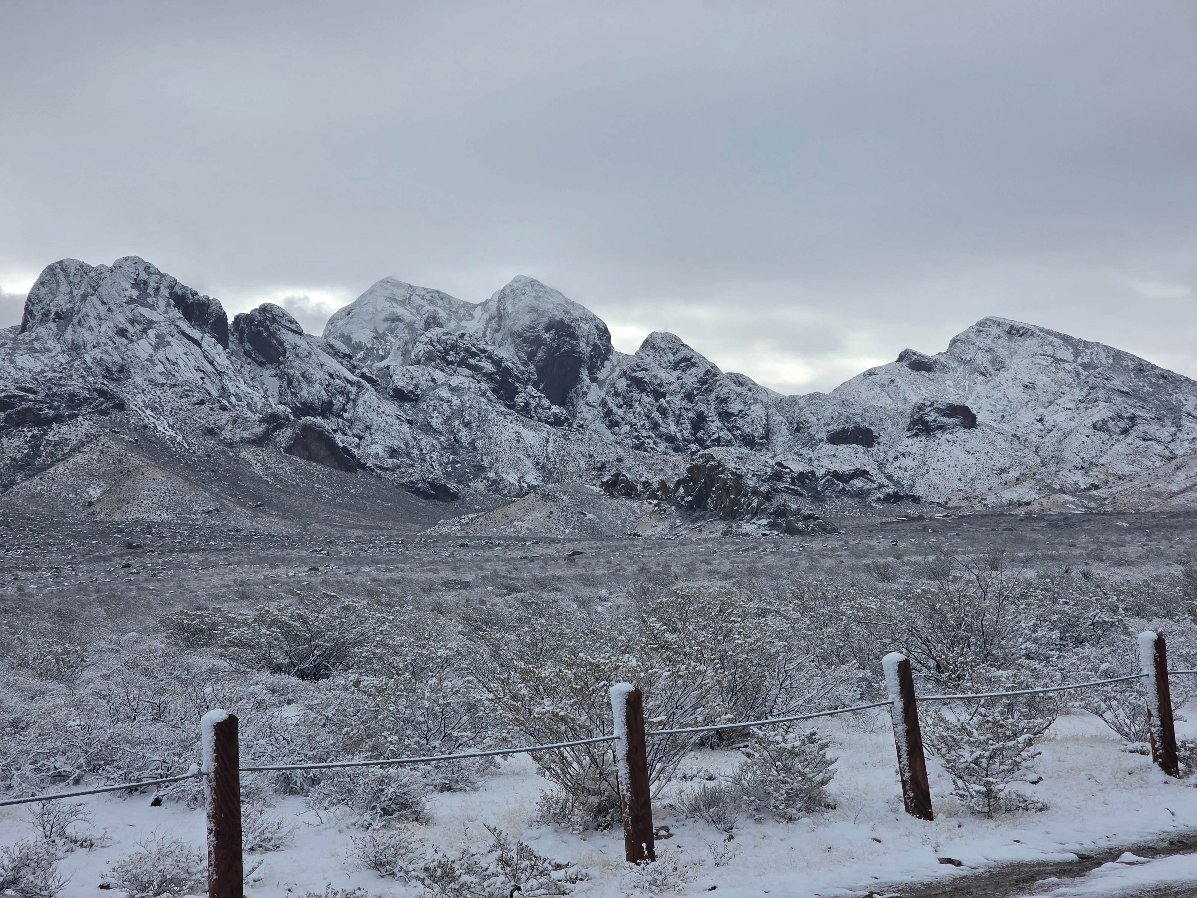 Camper-submitted photo at Oregan Wilderness Dispersed near Organ, NM