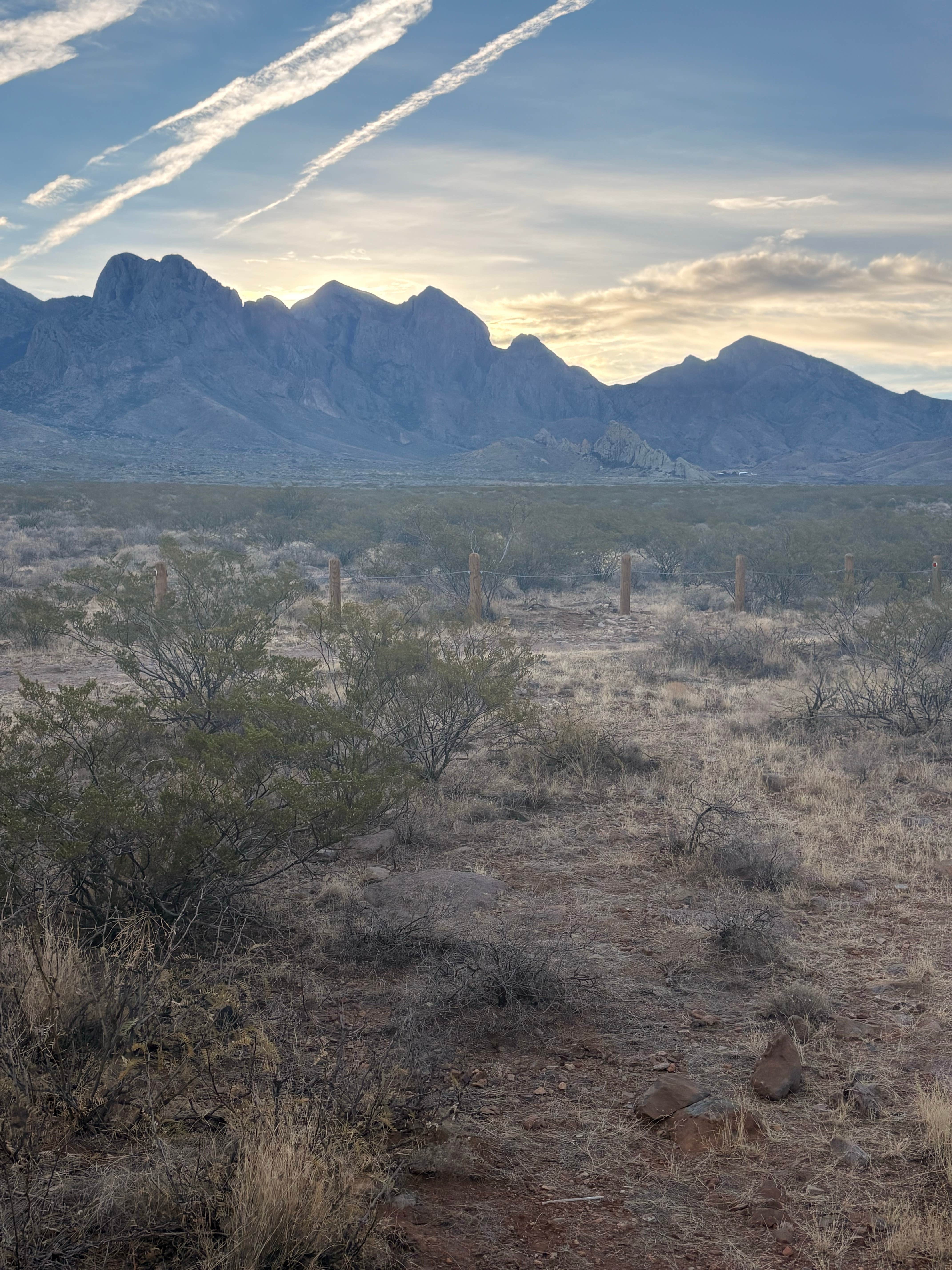 Camper-submitted photo at Oregan Wilderness Dispersed near Anthony, NM