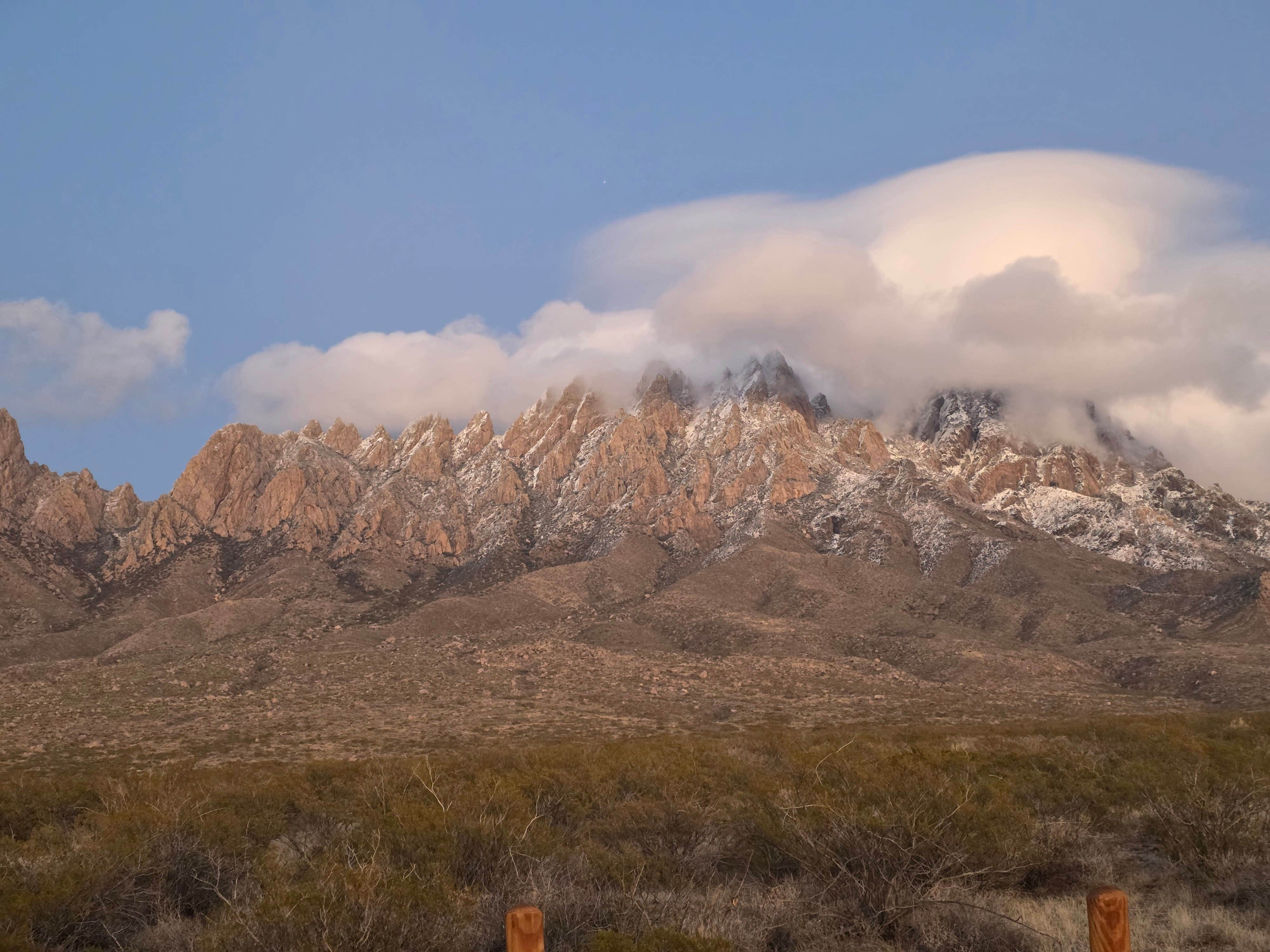Camper-submitted photo at Oregan Wilderness Dispersed near Organ, NM