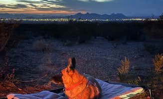 Mike M.'s photo of a dispersed camping area at Oregan Wilderness Dispersed near Organ, NM