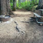 Review photo of Ainsworth State Park Campground by Stephen T., September 23, 2023