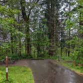 Review photo of Ainsworth State Park Campground by Suryanshu P., April 30, 2024