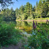Review photo of Alder Dune Campground by lee's freelance M., August 14, 2025
