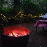Review photo of Alder Dune Campground by lee's freelance M., August 14, 2025