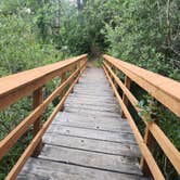 Review photo of Alder Dune Campground by lee's freelance M., July 25, 2026