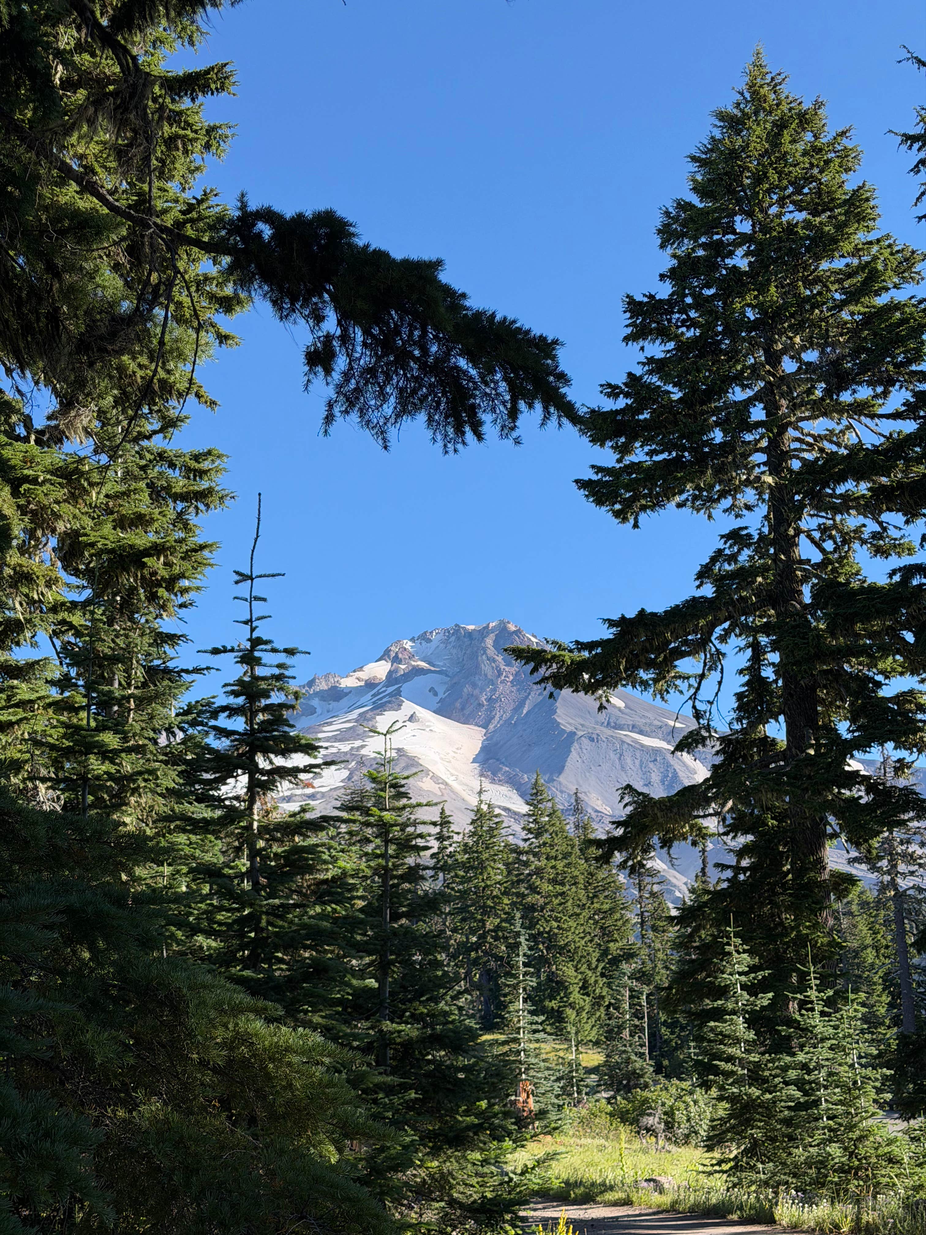 Camper-submitted photo at Alpine near Mt. Hood National Forest