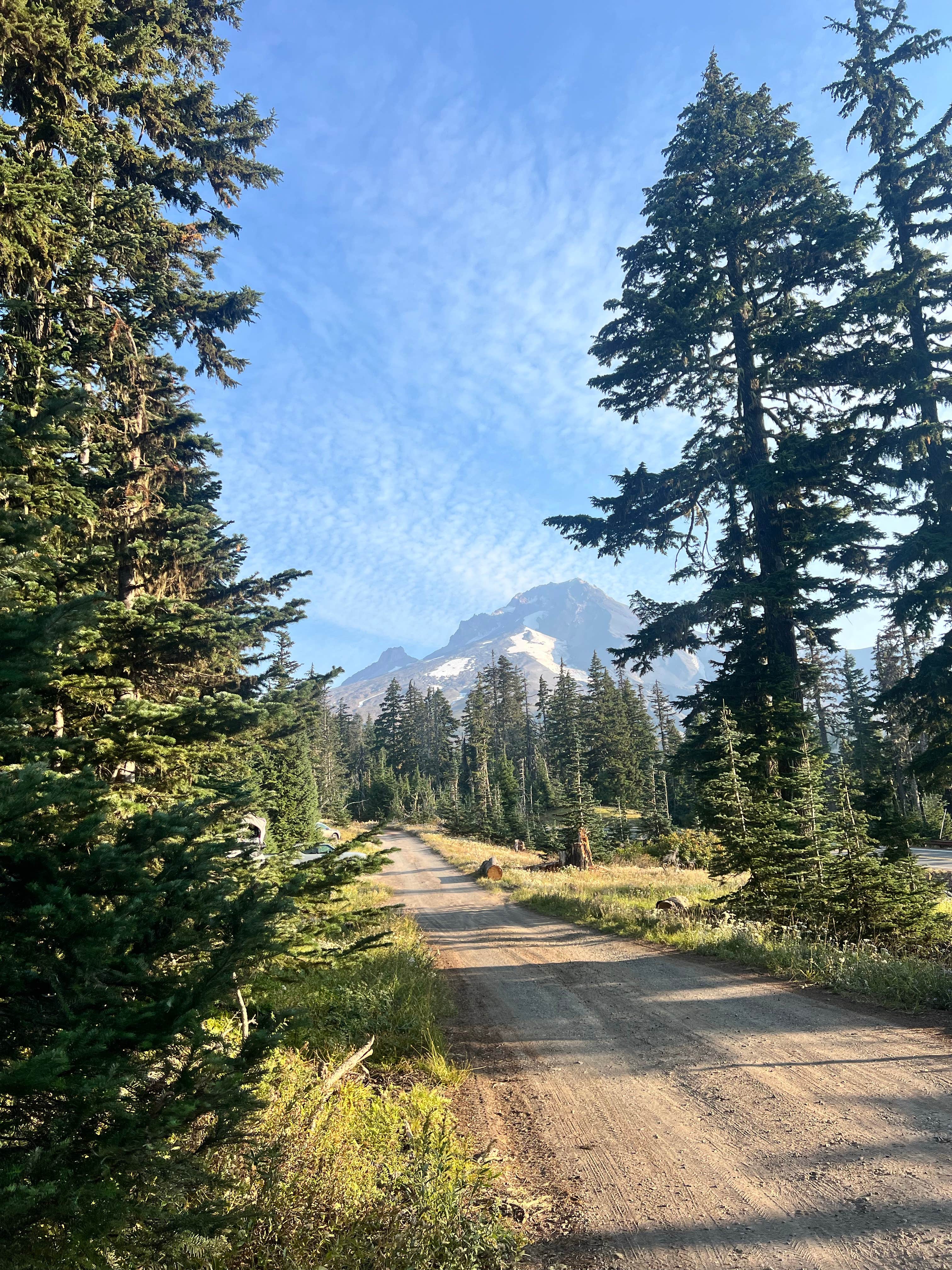 Camper-submitted photo at Alpine near Welches, OR