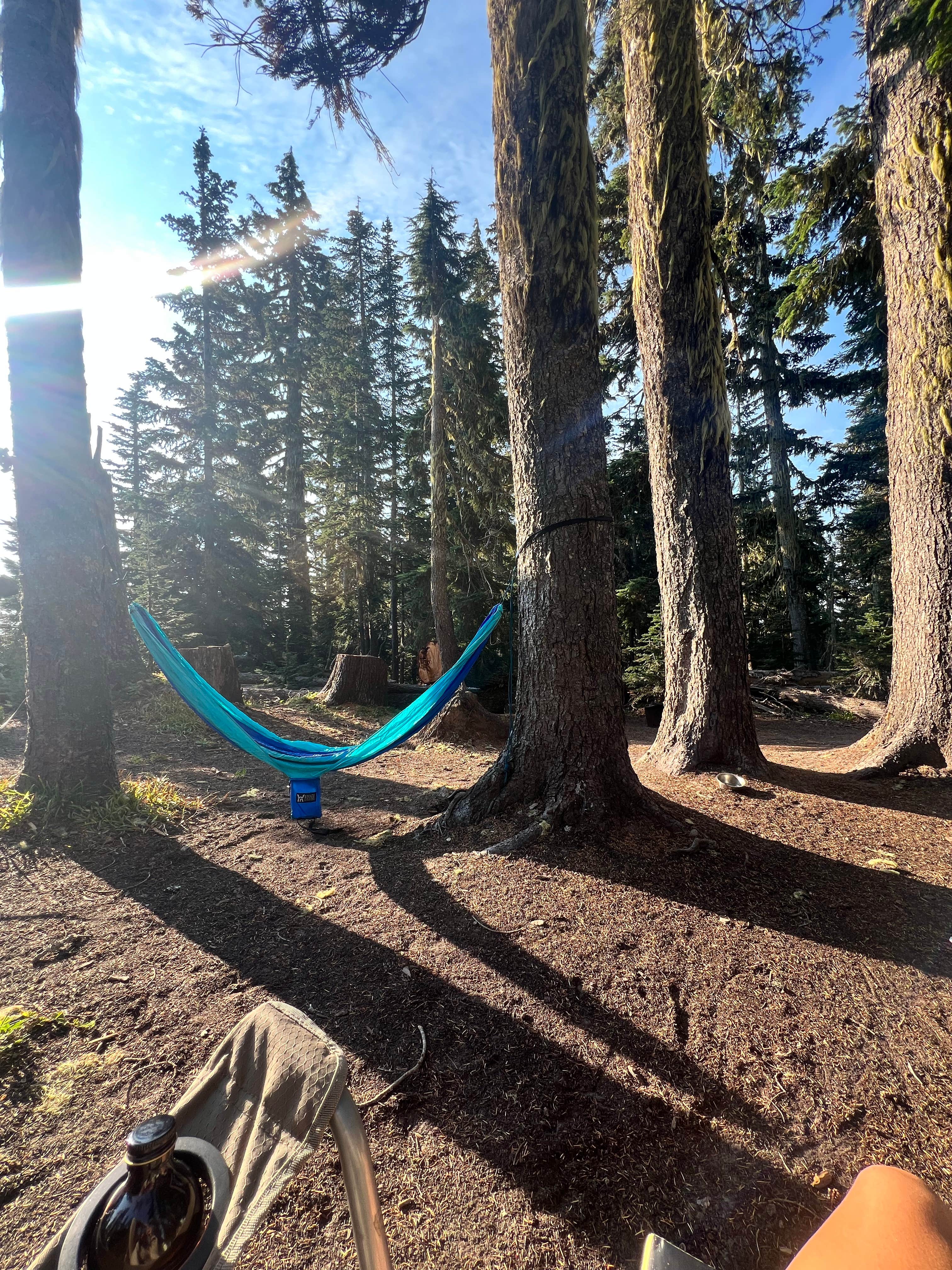 Camper-submitted photo at Alpine near Welches, OR