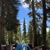 Review photo of Alpine by Reese L., August 27, 2026