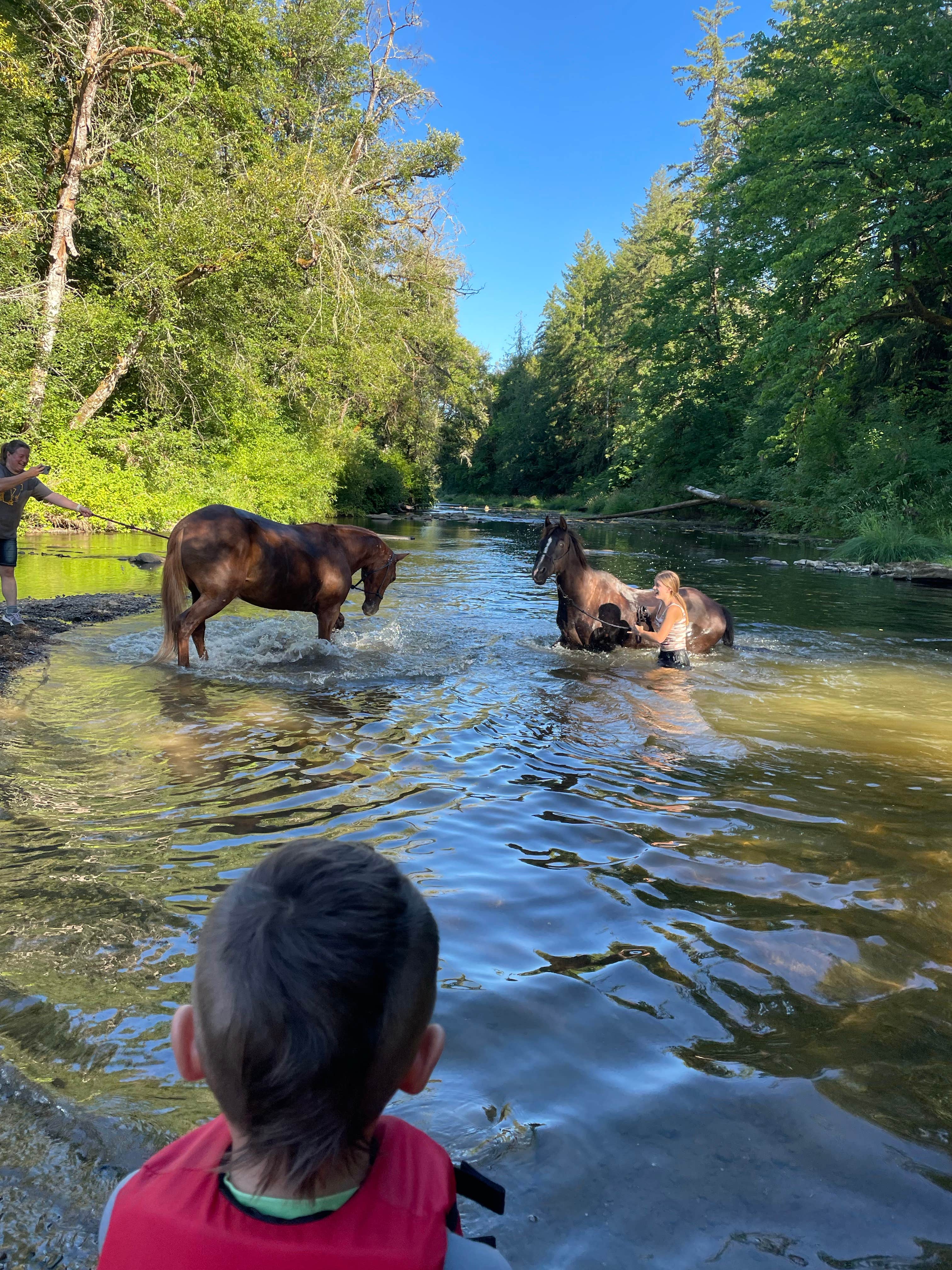 Jeff T.'s photo of camping with a horse at Anderson Park near Vancouver, WA
