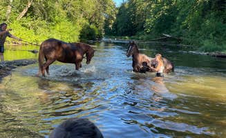 Jeff T.'s photo of camping with a horse at Anderson Park near Camas, WA