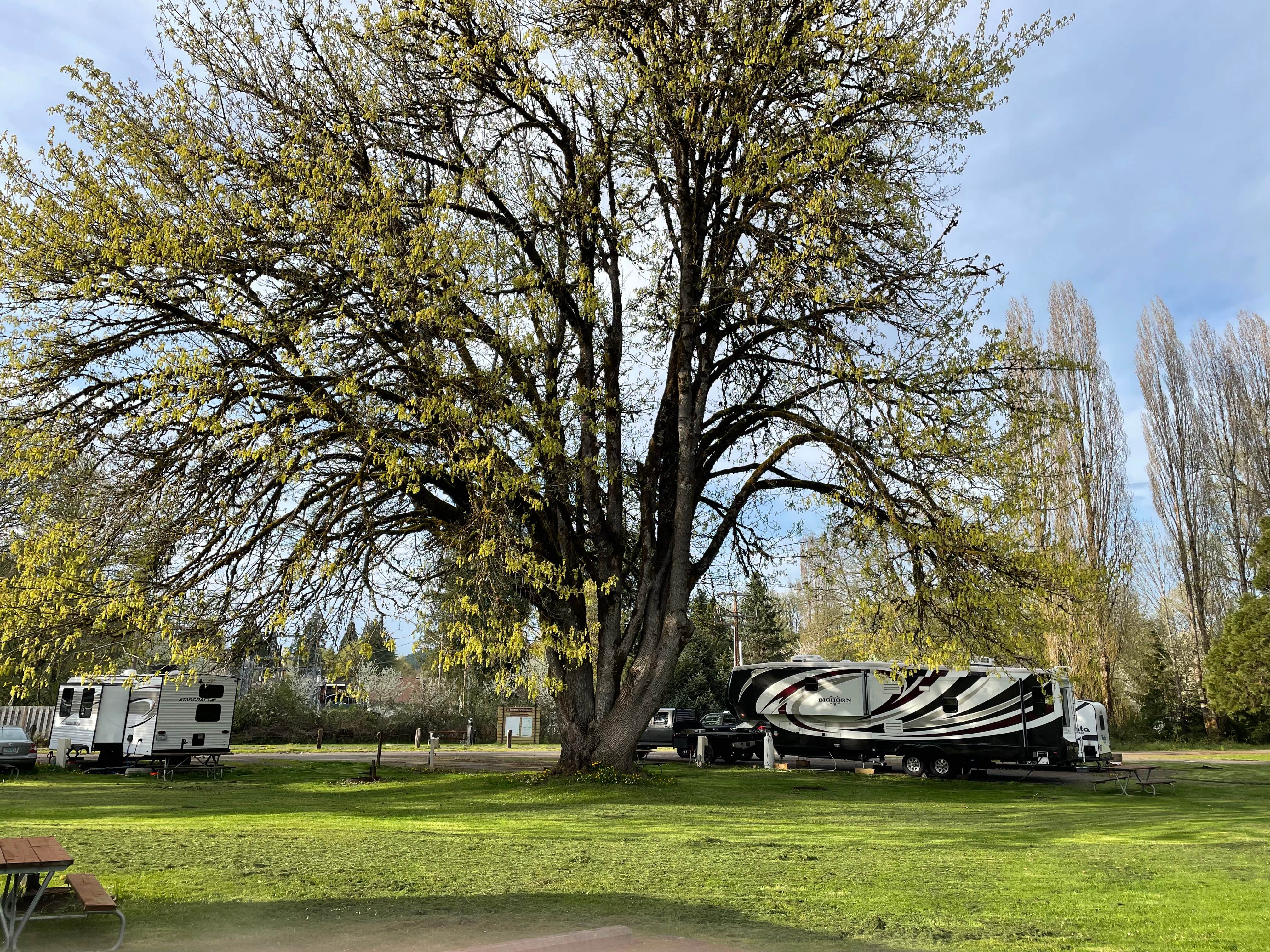 Camper-submitted photo at Anderson Park near Kalama, WA
