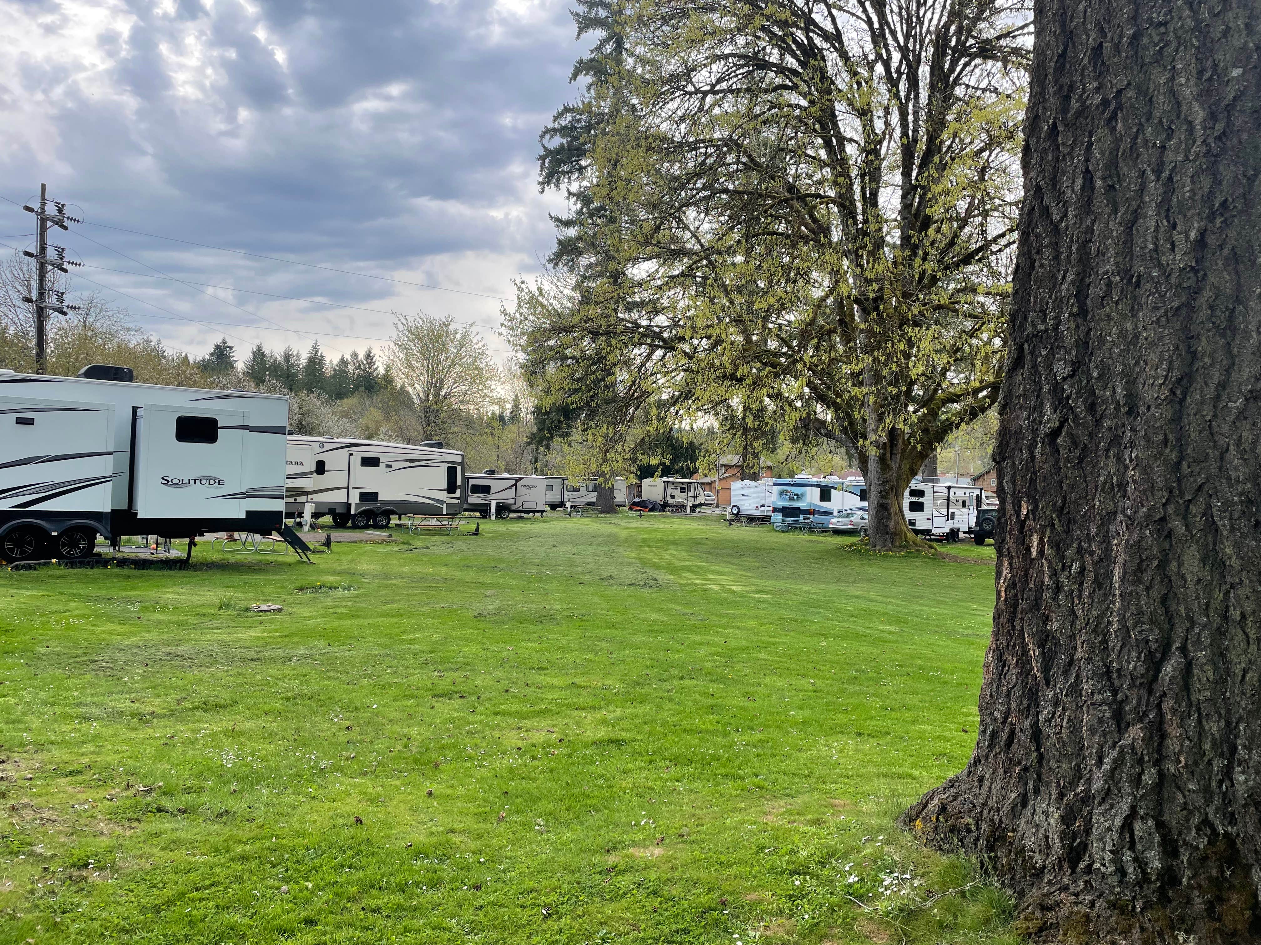 Camper-submitted photo at Anderson Park near Kalama, WA