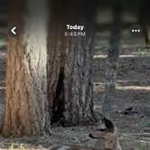 Review photo of Aspen Point (lake of The Woods, Or) by Lowell S., May 19, 2025