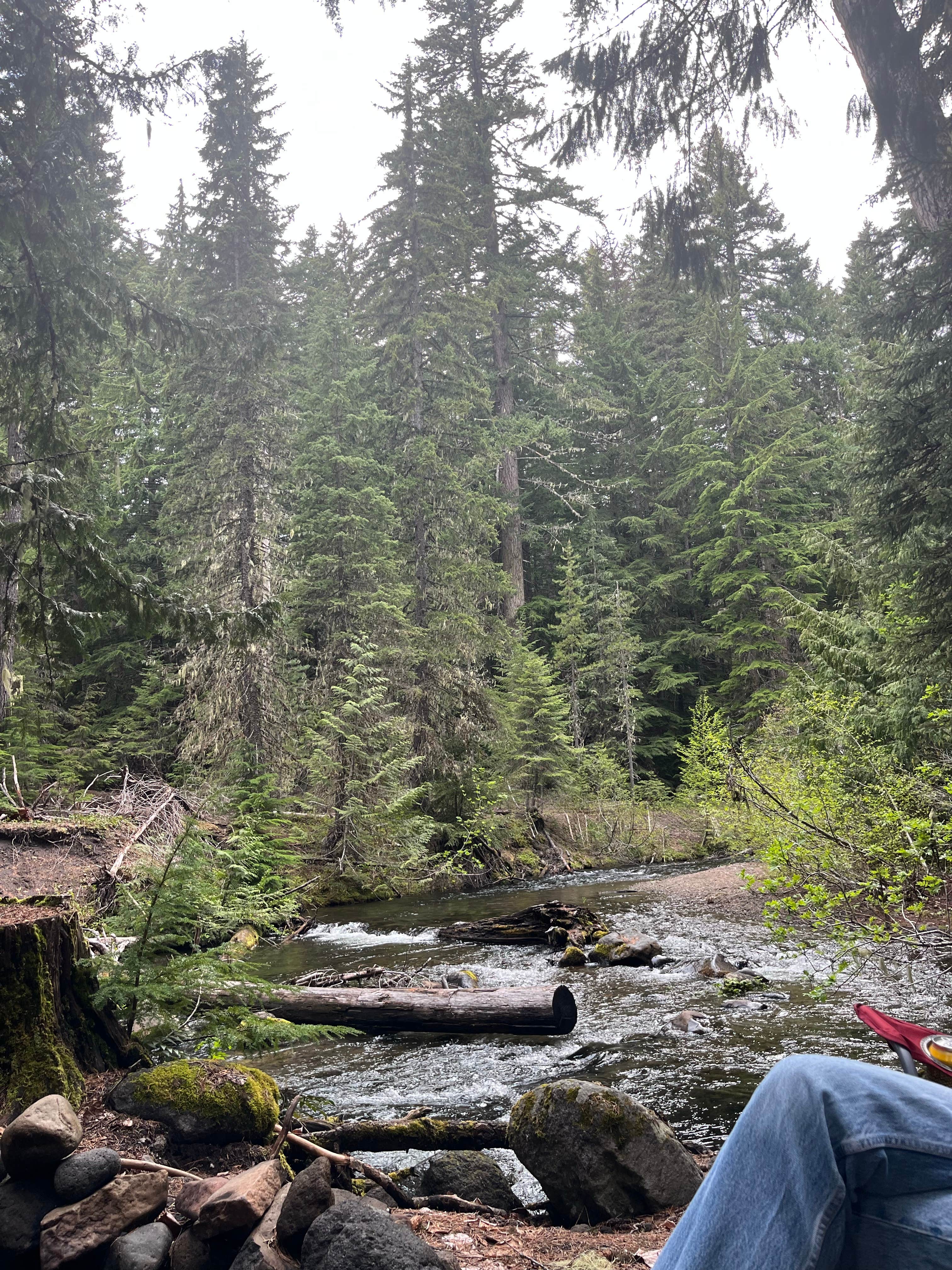 Camper-submitted photo at Barlow Crossing near Government Camp, OR