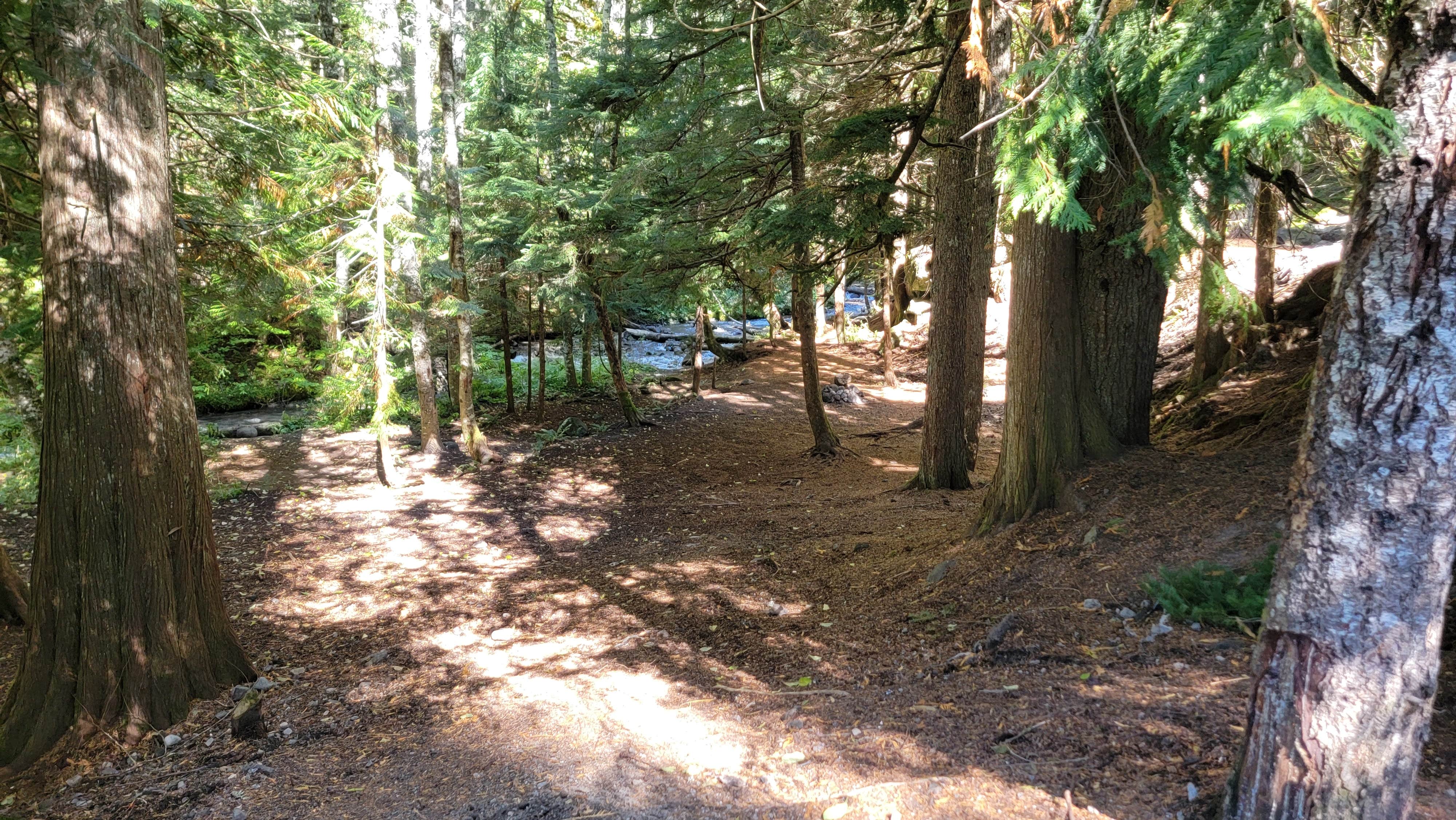 Camper-submitted photo at 39 Rd Dispersed Site near Welches, OR