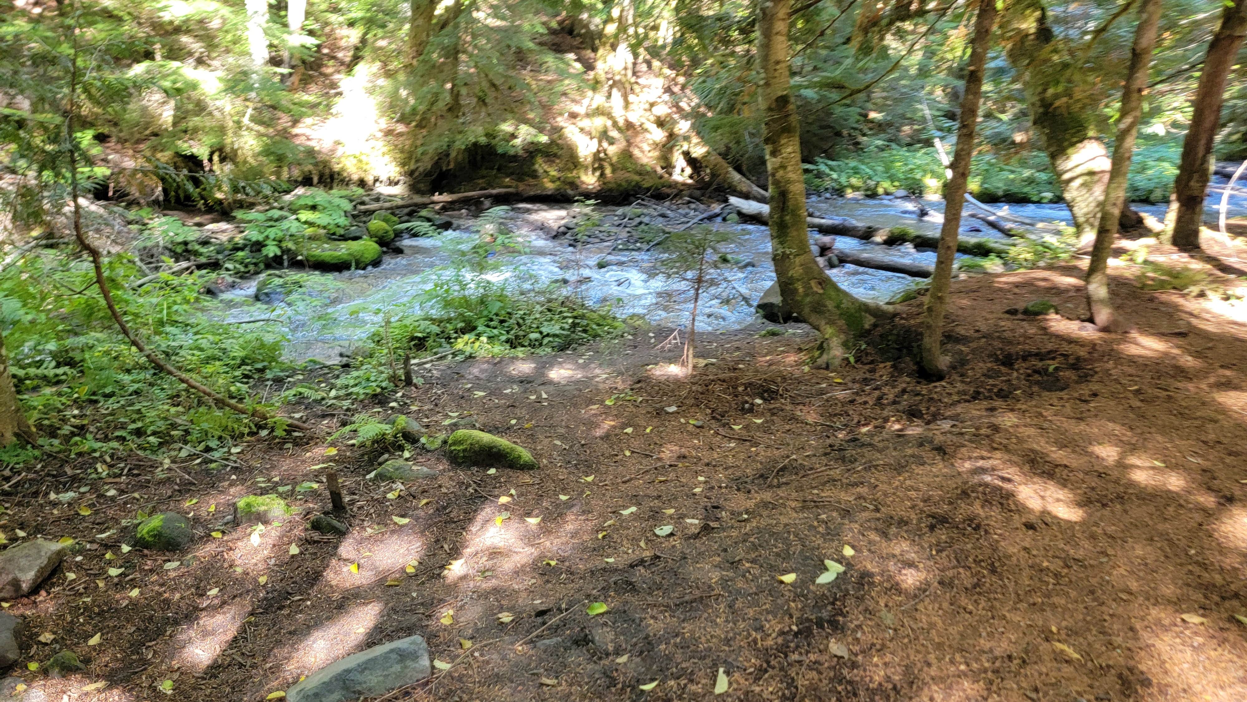 Camping near Top ‘O the Mountain: 39 Rd Dispersed Site, Government Camp, Oregon