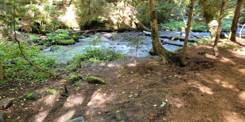 Camper submitted image from 39 Rd Dispersed Site