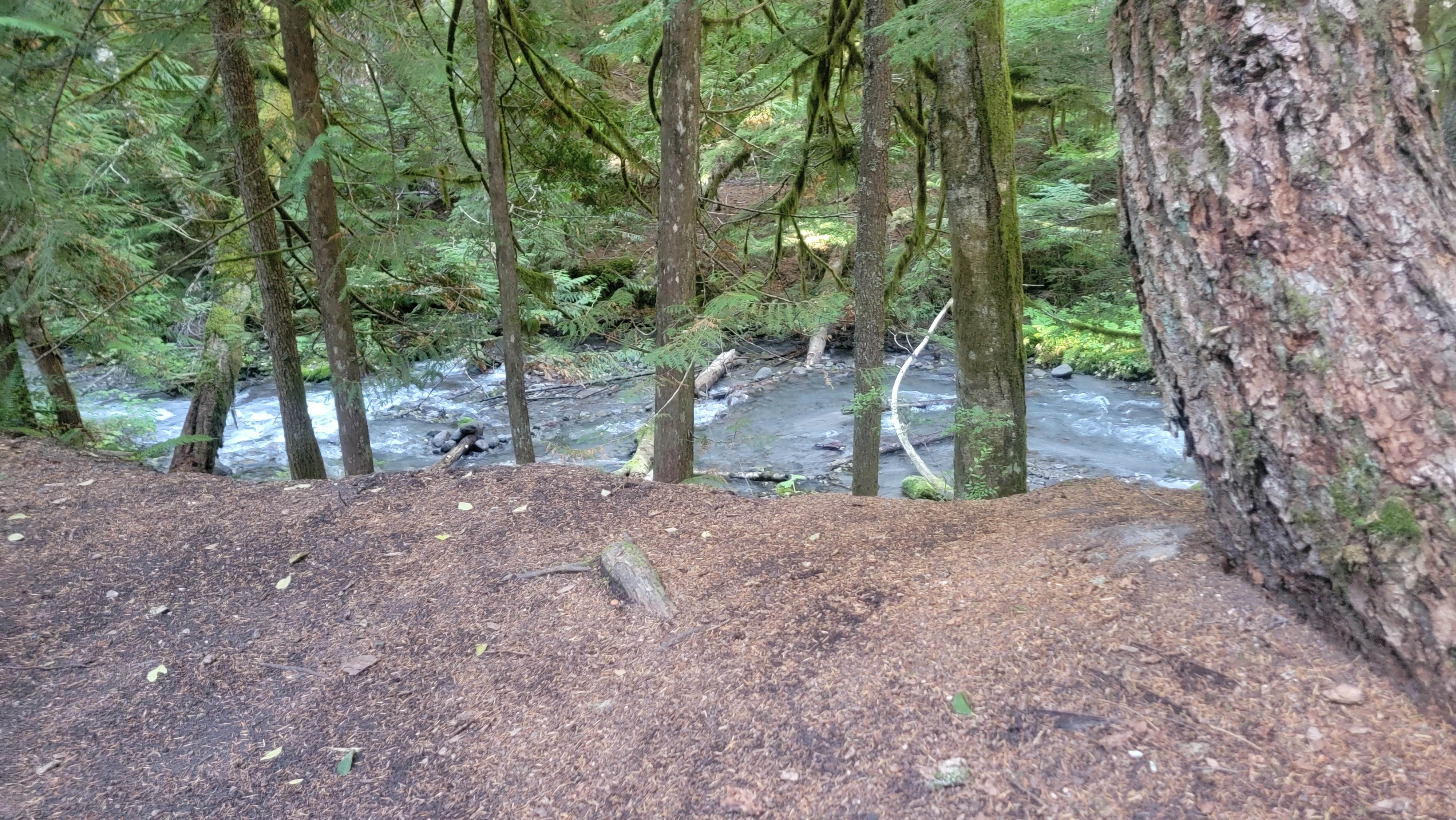 Camper-submitted photo at 39 Rd Dispersed Site near Welches, OR