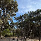 Review photo of Barview Jetty County Campground by LAUREN B., August 7, 2025