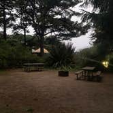 Review photo of Beachside State Recreation Site by cheryl , November 20, 2025