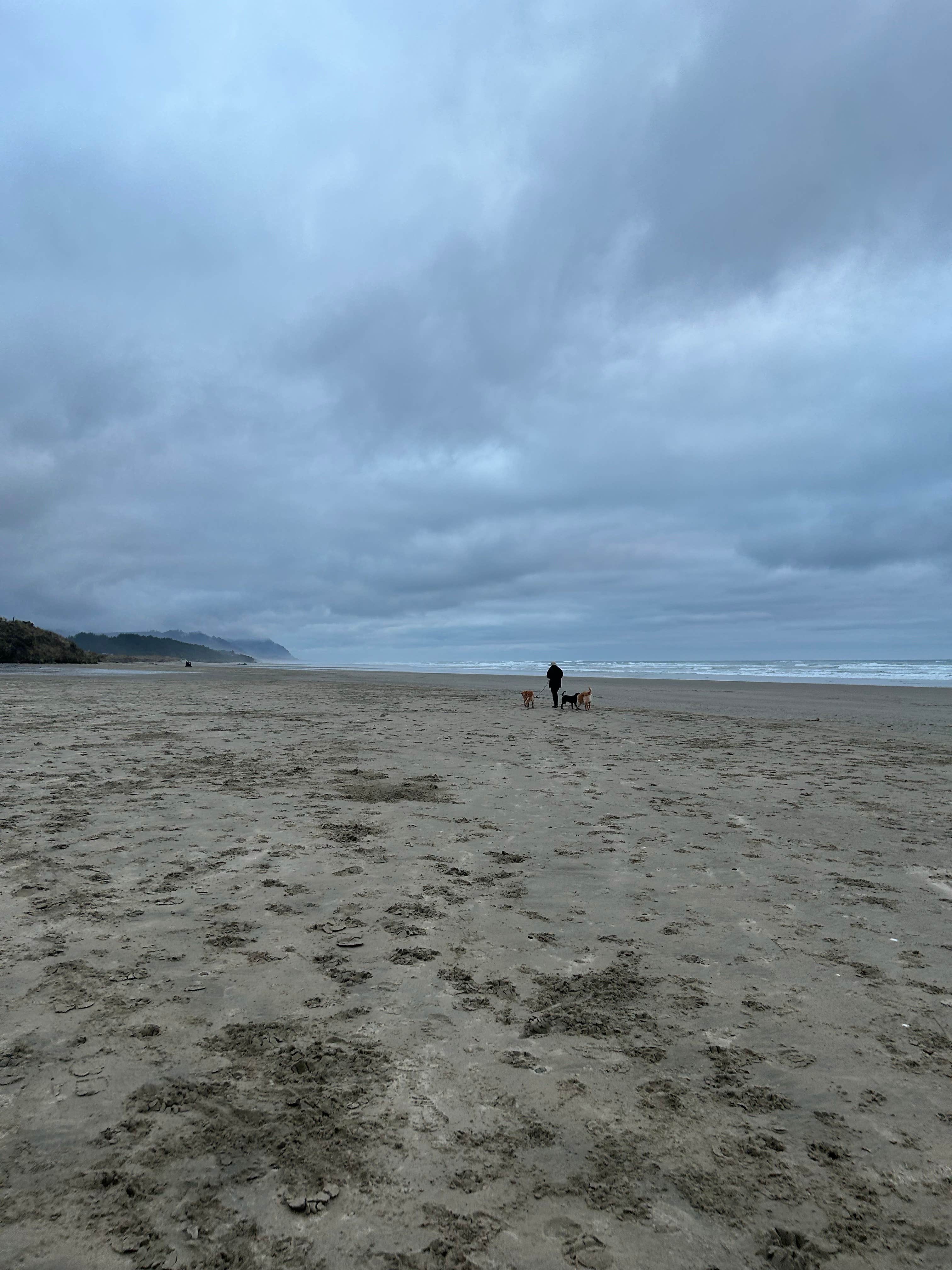 Bella H.'s photo of camping with pets at Beachside State Recreation Site near Waldport, OR