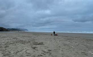 Bella H.'s photo of camping with pets at Beachside State Recreation Site near Seal Rock, OR
