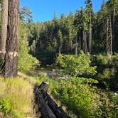 Review photo of Bedrock Campground by Mouse M., June 15, 2026