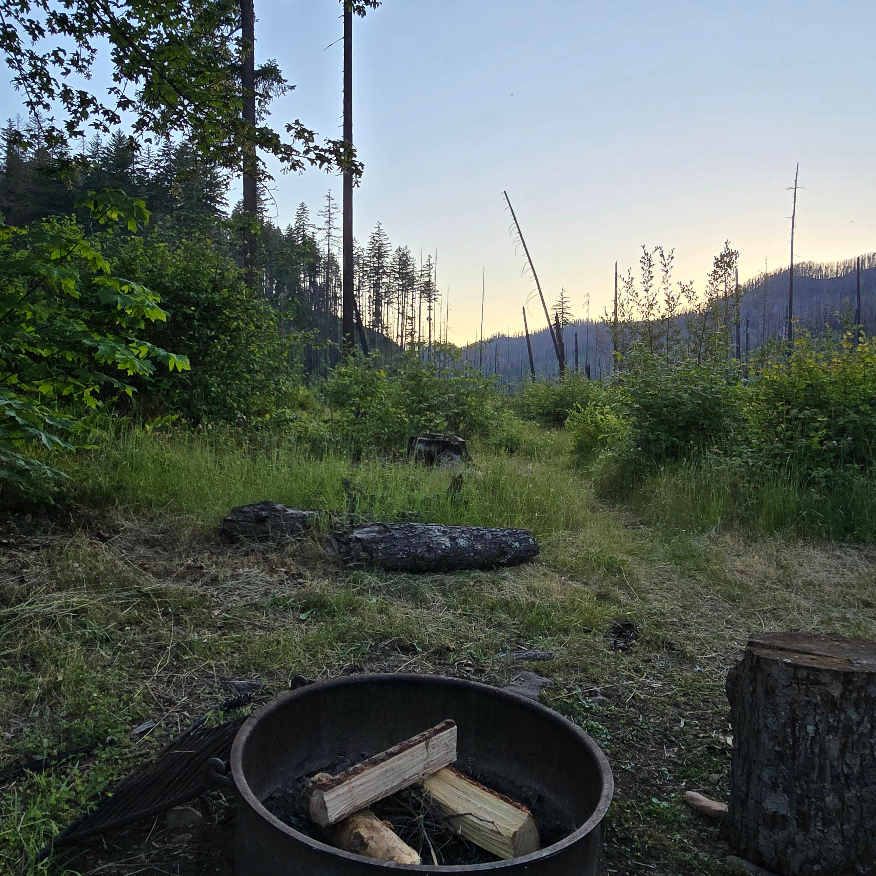 Camping near Cascara Campground — Fall Creek State Recreation Area: Bedrock Campground, Vida, Oregon