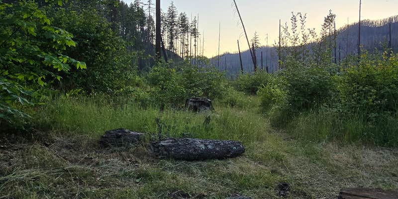 Camper submitted image from Bedrock Campground