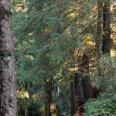 Review photo of Beverly Beach State Park Campground by Brendan H., December 16, 2025