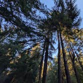 Review photo of Beverly Beach State Park Campground by Brendan H., December 16, 2025