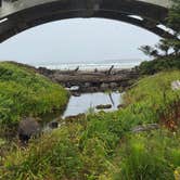Review photo of Beverly Beach State Park Campground by Christina F., August 7, 2026