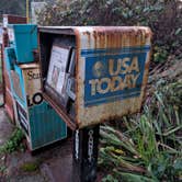 Review photo of Beverly Beach State Park Campground by Brendan H., December 16, 2025