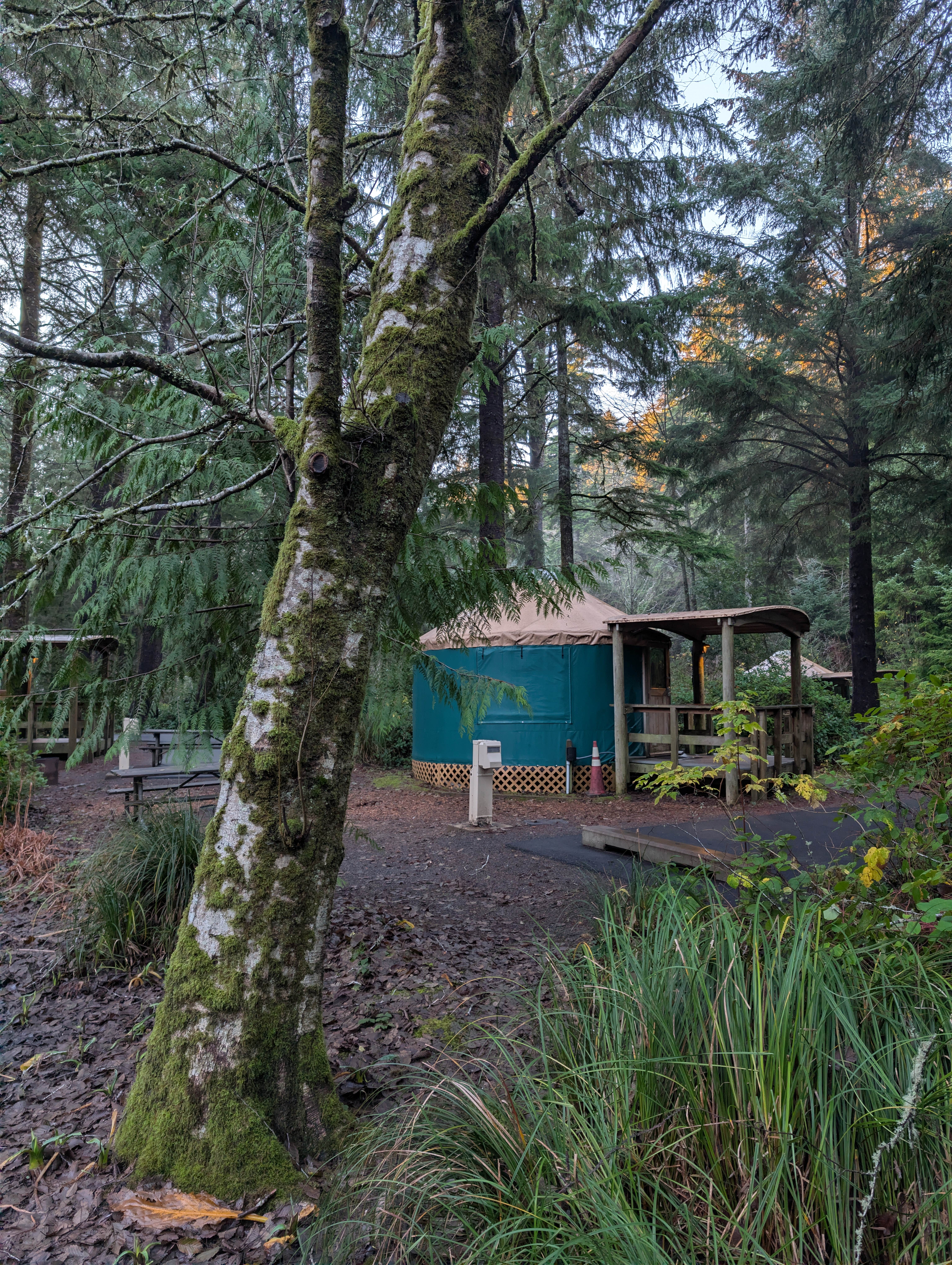 Brendan H.'s photo of glamping accommodations at Beverly Beach State Park Campground near Yachats, OR