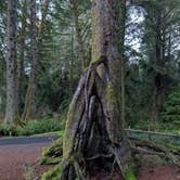 Review photo of Beverly Beach State Park Campground by Brendan H., December 16, 2025