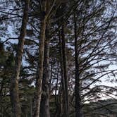 Review photo of Beverly Beach State Park Campground by Brendan H., December 16, 2025