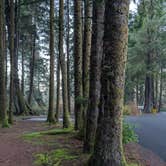 Review photo of Beverly Beach State Park Campground by Brendan H., December 16, 2025