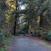 Review photo of Beverly Beach State Park Campground by Brendan H., December 16, 2025