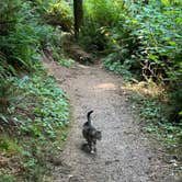 Review photo of Beverly Beach State Park Campground by mitzi M., August 6, 2026