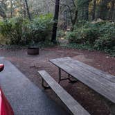 Review photo of Beverly Beach State Park Campground by Brendan H., December 16, 2025